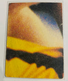 Jason Dunstall 1987 scanlens rookie