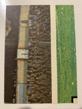 1968 Scanlens VFL Ian Stewart