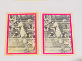 2 X Greg Chappell Rookie Cards Lot Of 1974 Sunicrust Cards