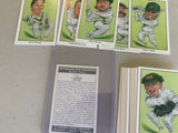 Australian Test Cricketers 1993 Shane Warne County FULL SET + Good rookie