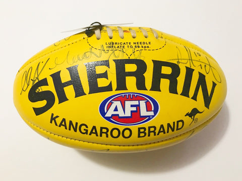 AFL Brisbane Lions signed game used football