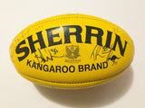 AFL Brisbane Lions signed game used football